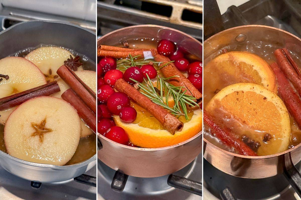 35 Simmer Pot Recipes Image
