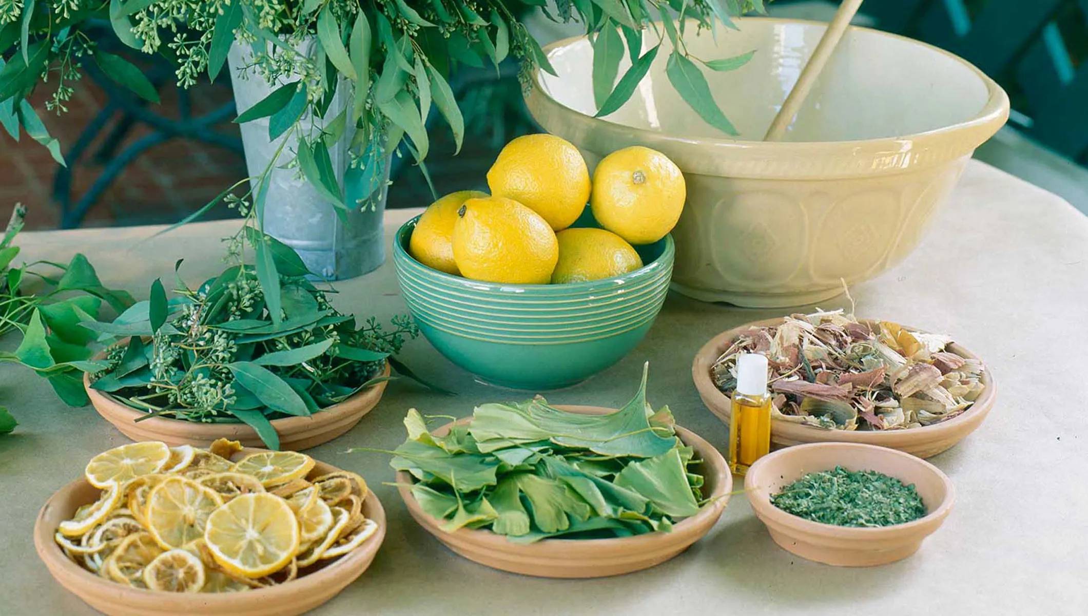 31 Eucalyptus Potpourri Recipes Image