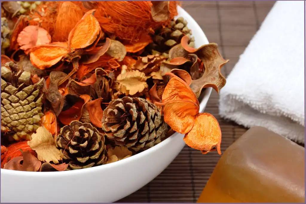 34 Orange and Cinnamon Potpourri Recipes Image