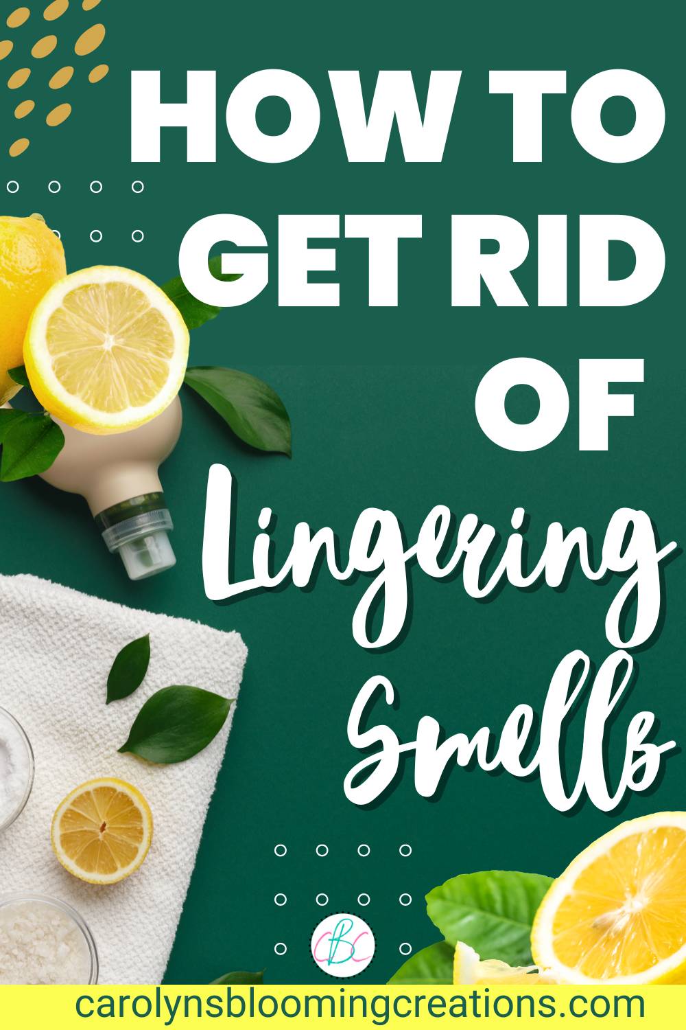 30 Lemon Potpourri Recipes Image