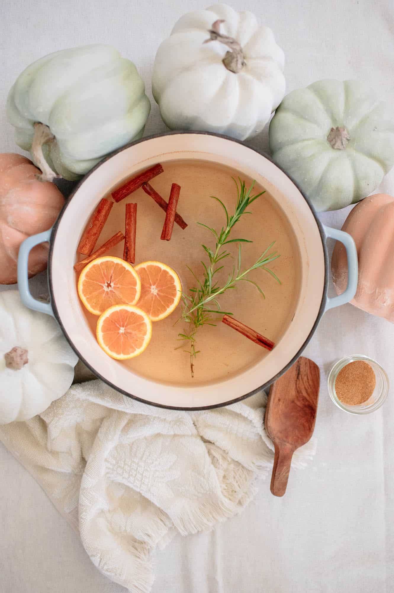 35 Simmer Pot Recipes Image