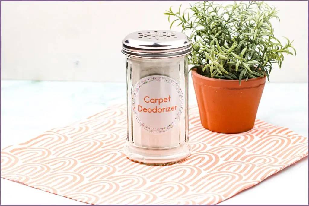 36 DIY Non Toxic Carpet Cleaner Recipes Image