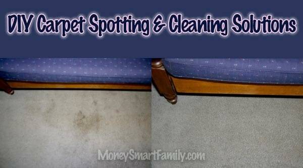 36 DIY Non Toxic Carpet Cleaner Recipes Image