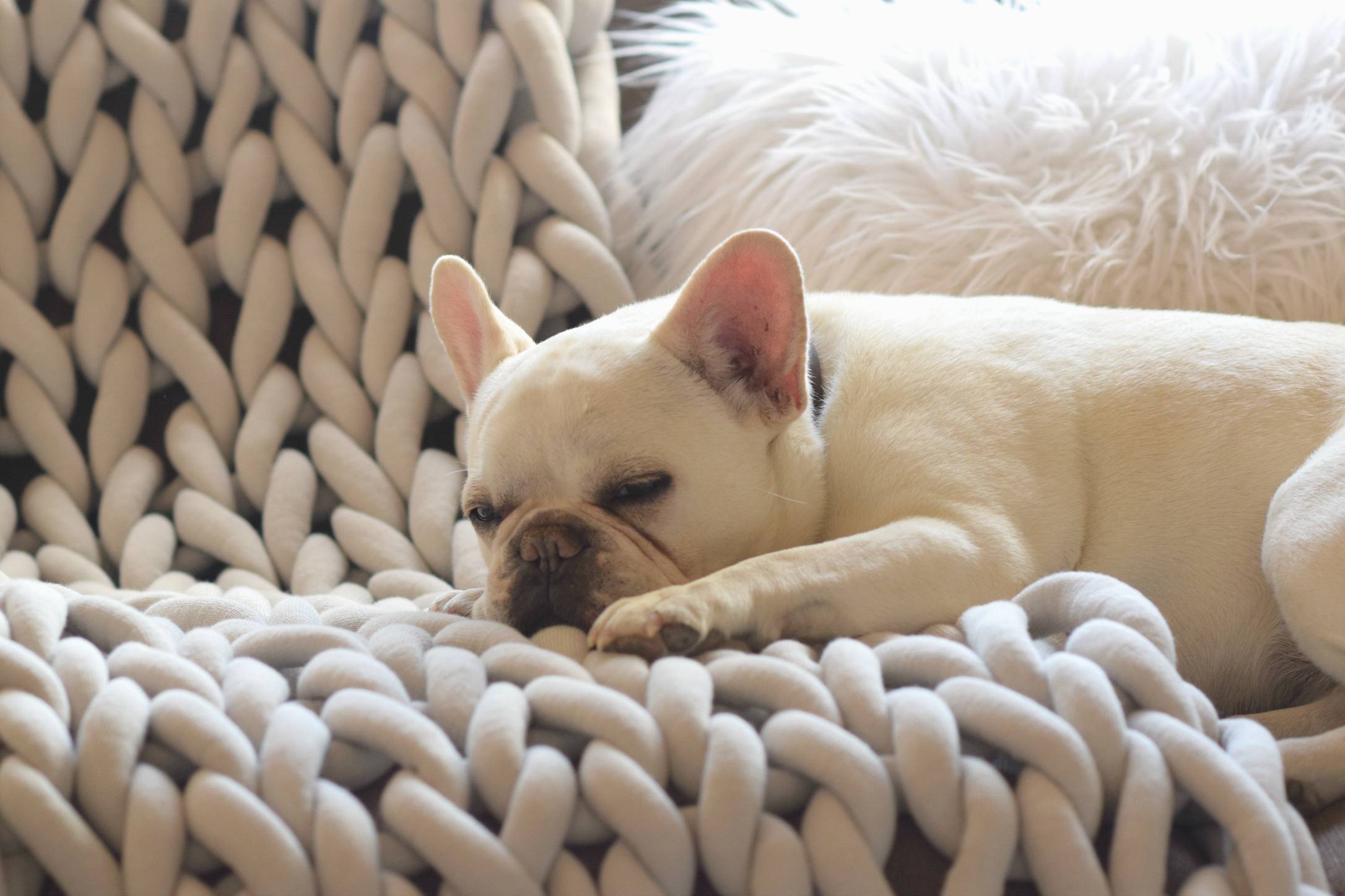 33 DIY Hand Knit Baby Blankets Image