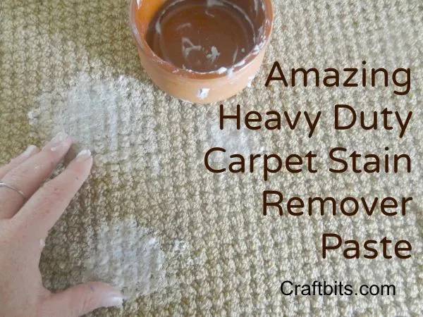 36 DIY Non Toxic Carpet Cleaner Recipes Image