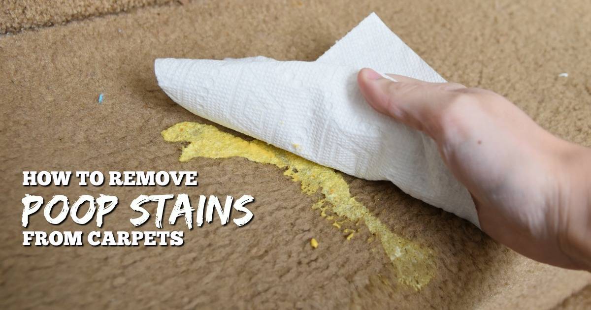 36 DIY Non Toxic Carpet Cleaner Recipes Image
