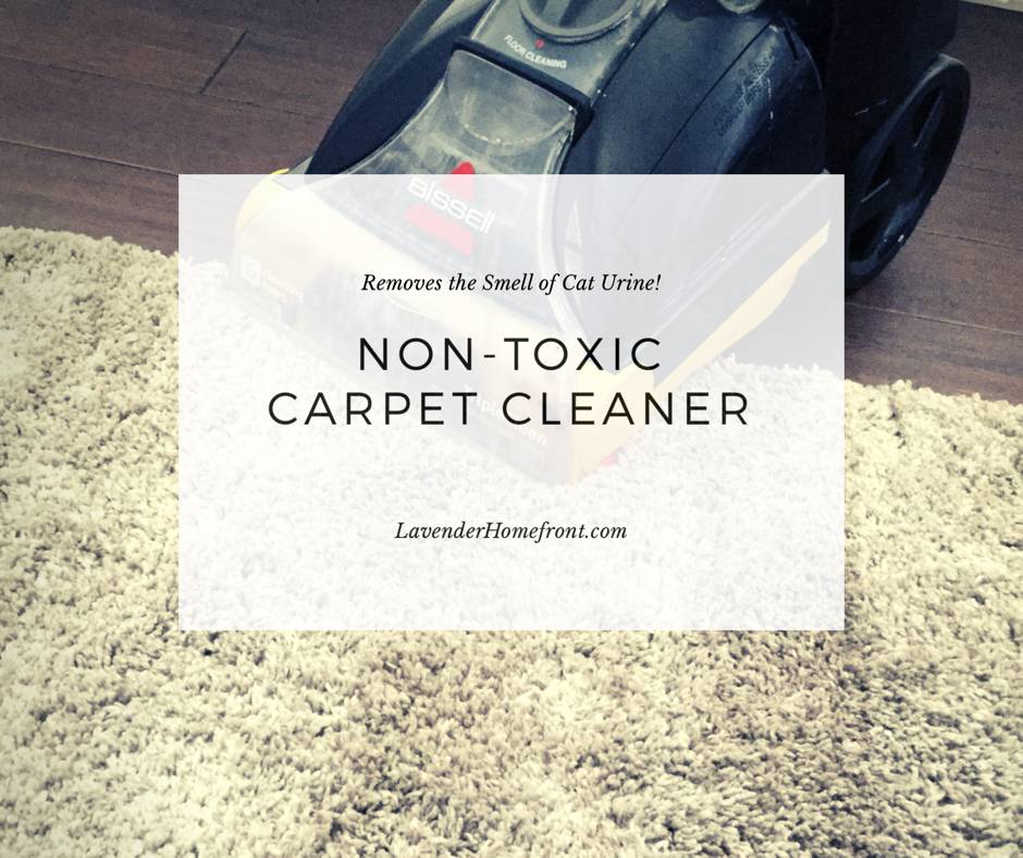 36 DIY Non Toxic Carpet Cleaner Recipes Image
