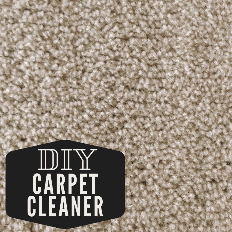 36 DIY Non Toxic Carpet Cleaner Recipes Image