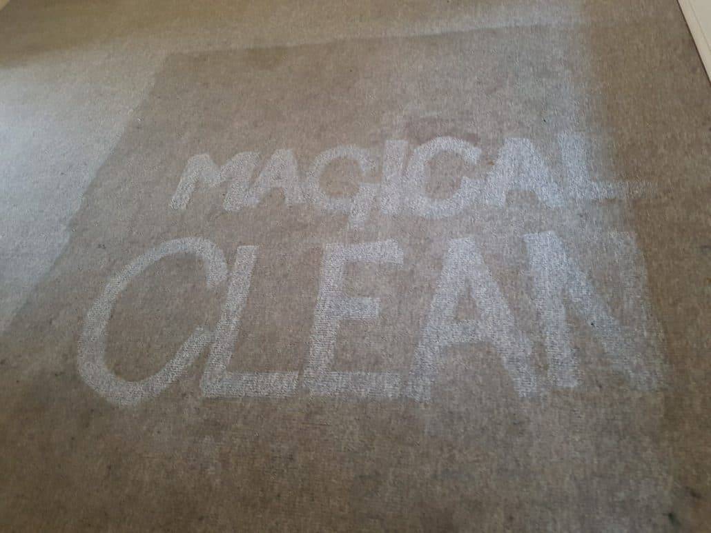 36 DIY Non Toxic Carpet Cleaner Recipes Image
