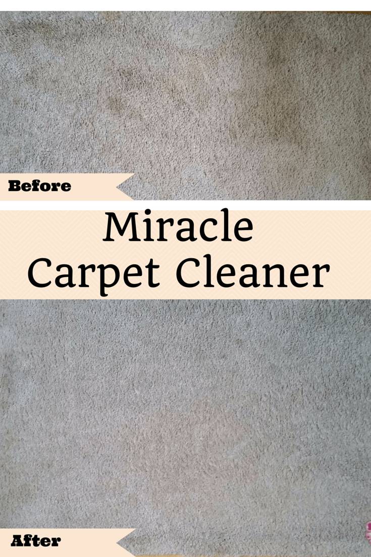 36 DIY Non Toxic Carpet Cleaner Recipes Image