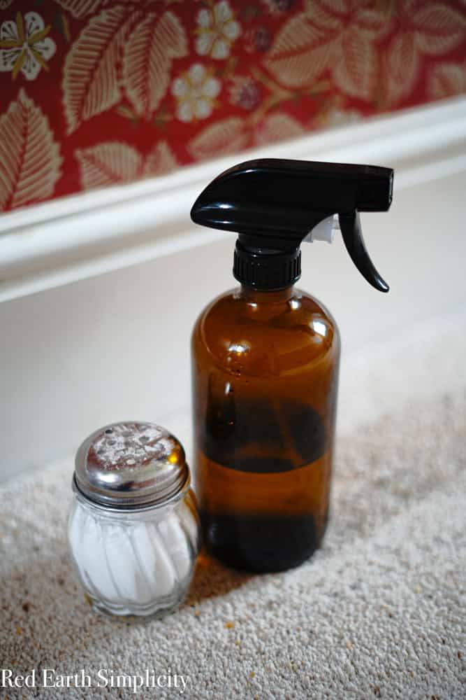 36 DIY Non Toxic Carpet Cleaner Recipes Image