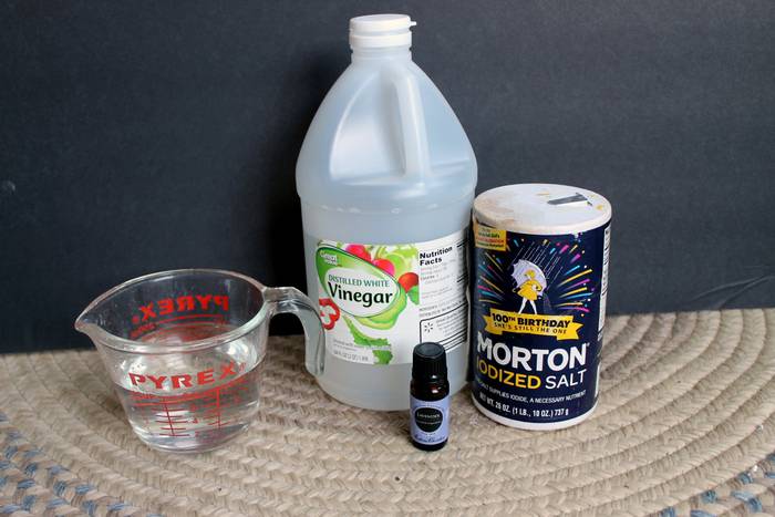 36 DIY Non Toxic Carpet Cleaner Recipes Image