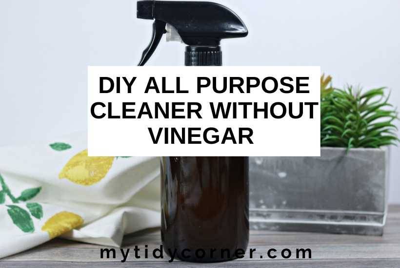 29 3-Ingredient Homemade Cleaner Recipes Image