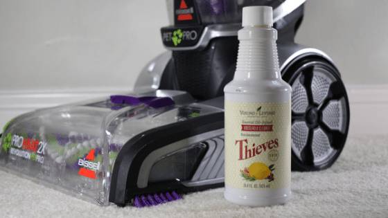 36 DIY Non Toxic Carpet Cleaner Recipes Image