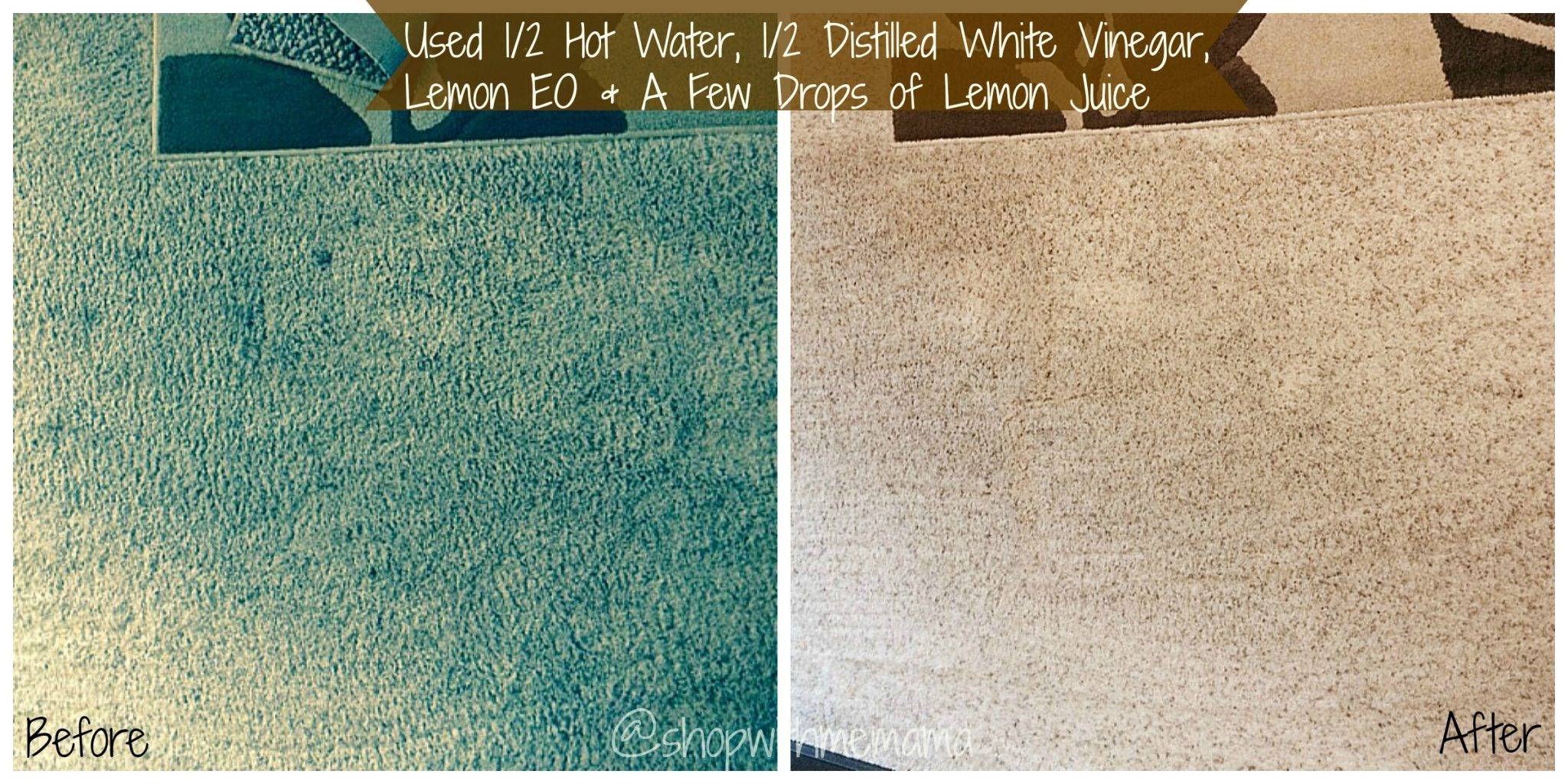 36 DIY Non Toxic Carpet Cleaner Recipes Image