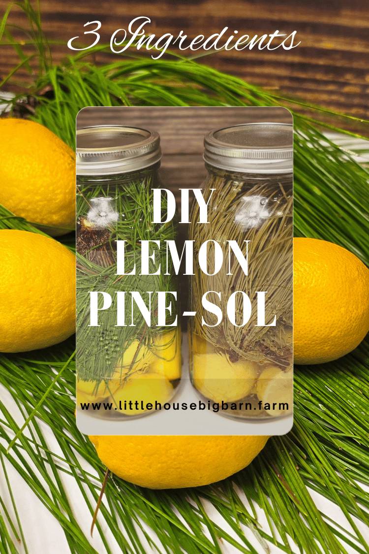 29 3-Ingredient Homemade Cleaner Recipes Image