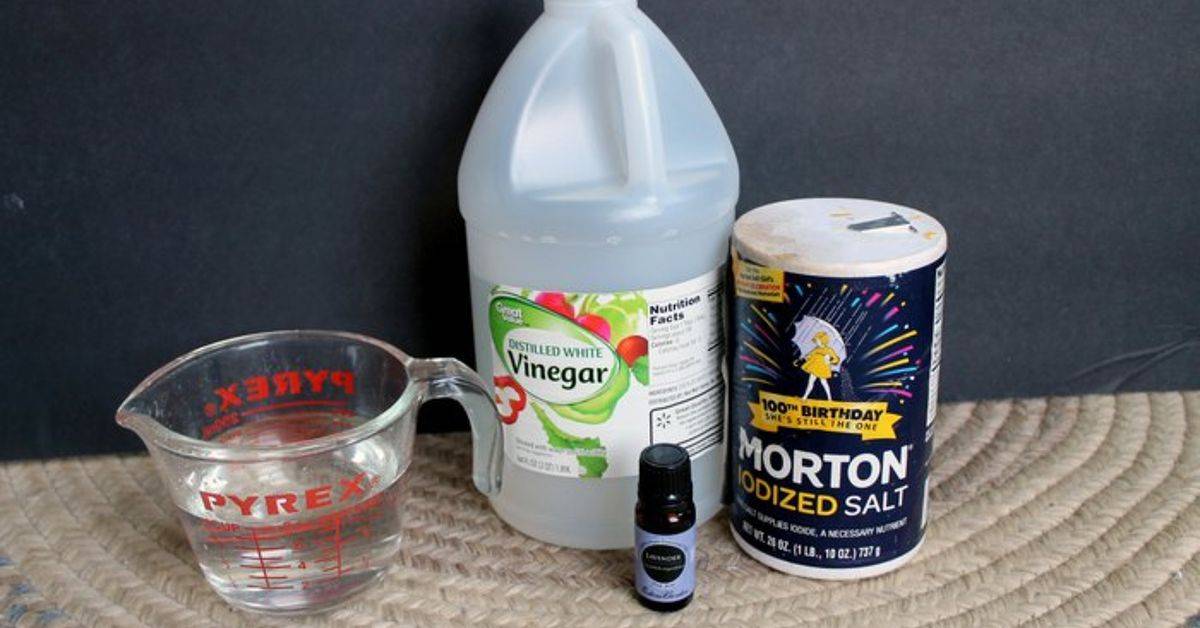 36 DIY Non Toxic Carpet Cleaner Recipes Image