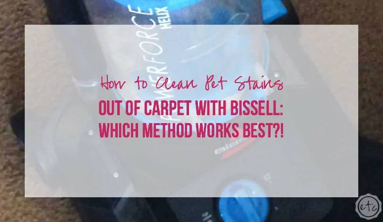 36 DIY Non Toxic Carpet Cleaner Recipes Image